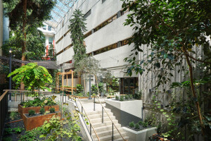 Taktik Design revamps sunken garden oasis in Montreal college