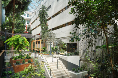 Taktik Design revamps sunken garden oasis in Montreal college