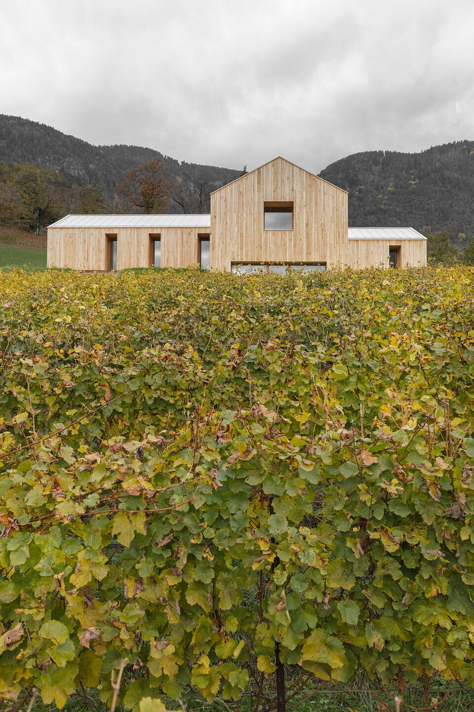 https://archello.com/story/138889/attachments/photos-videos/8 photo_credit Gustav Willeit