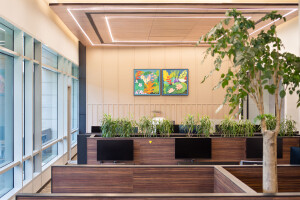 APT Office