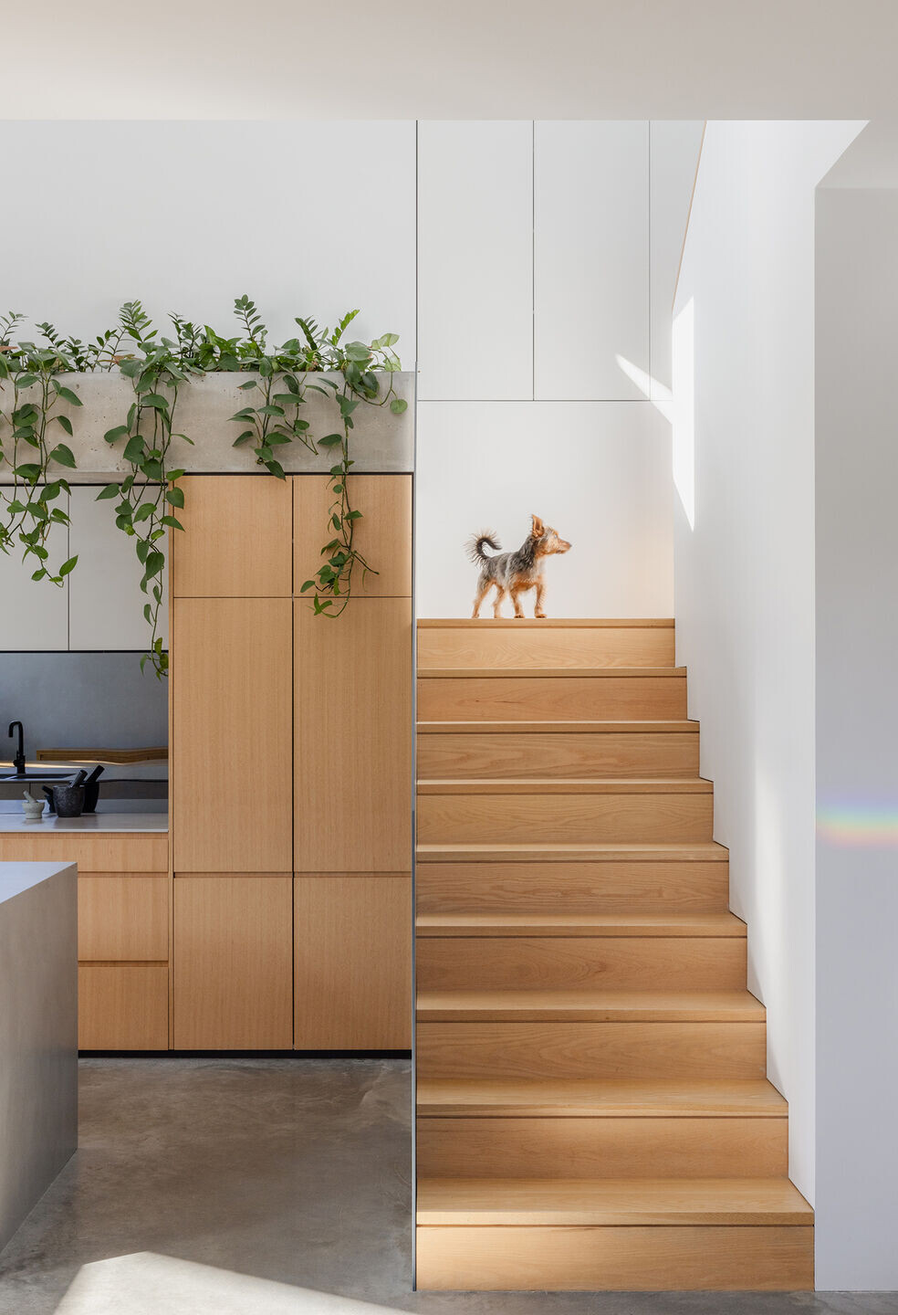 https://archello.com/story/138984/attachments/photos-videos/4 photo_credit ©Katherine Lu