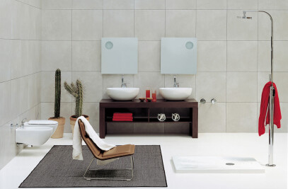 Dip - countertop – wall hung basin