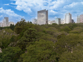 Passeio Paulista
