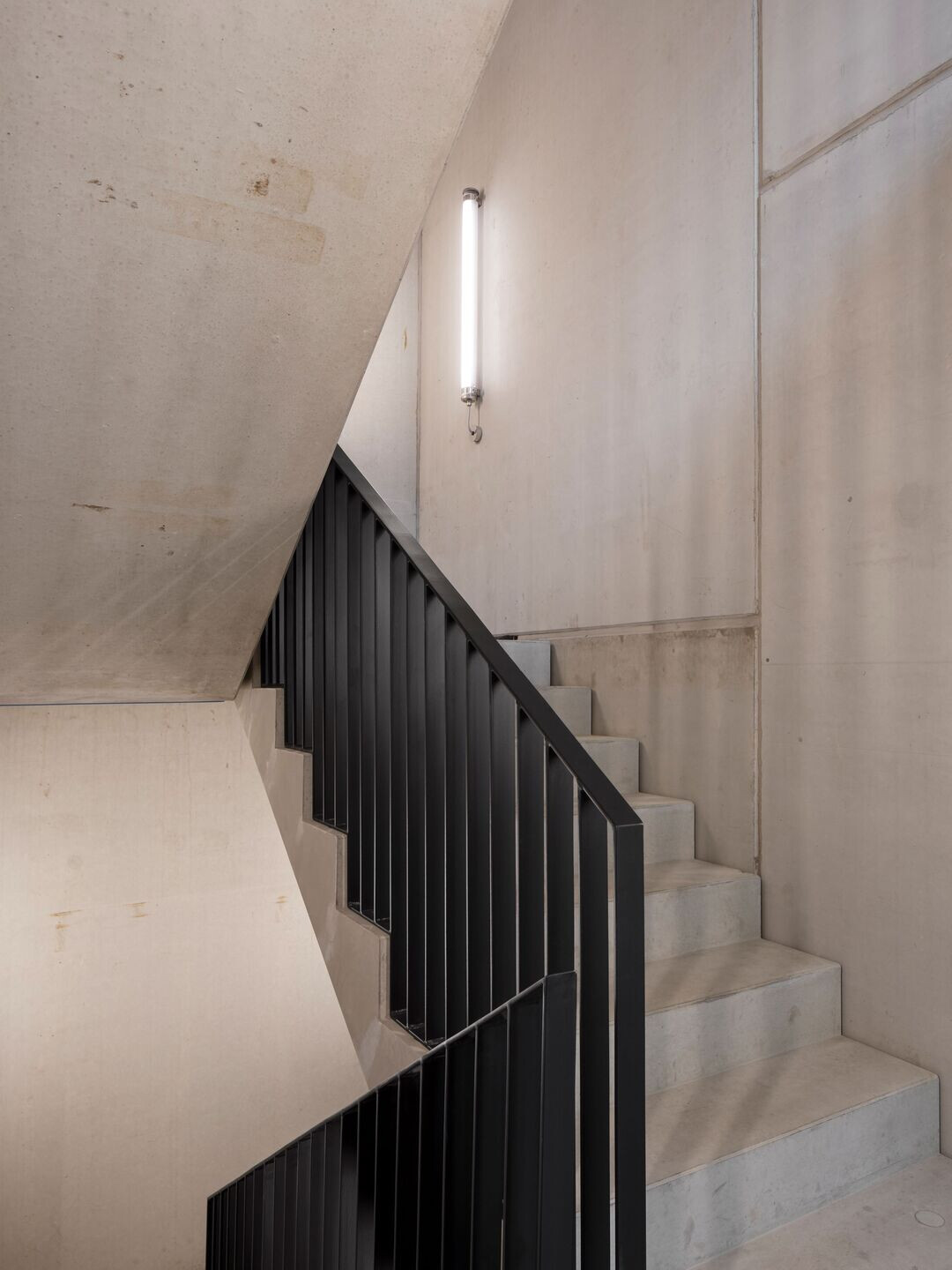 https://archello.com/story/139552/attachments/photos-videos/7 photo_credit Célia Uhalde