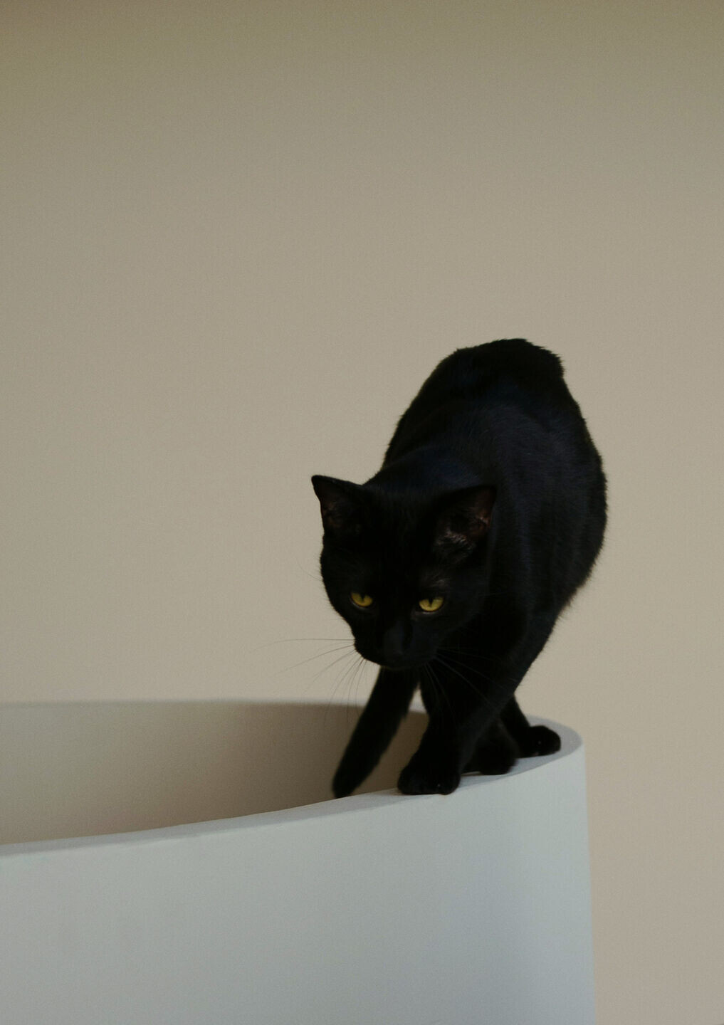 https://archello.com/story/139636/attachments/photos-videos/11 photo_credit Anne Banaan