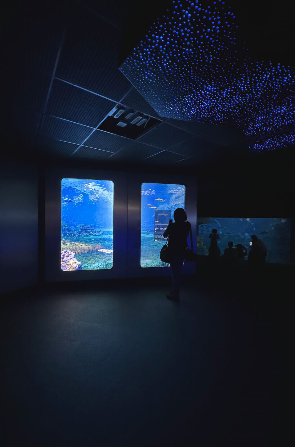 https://archello.com/story/139612/attachments/photos-videos/5 photo_credit Indissoluble