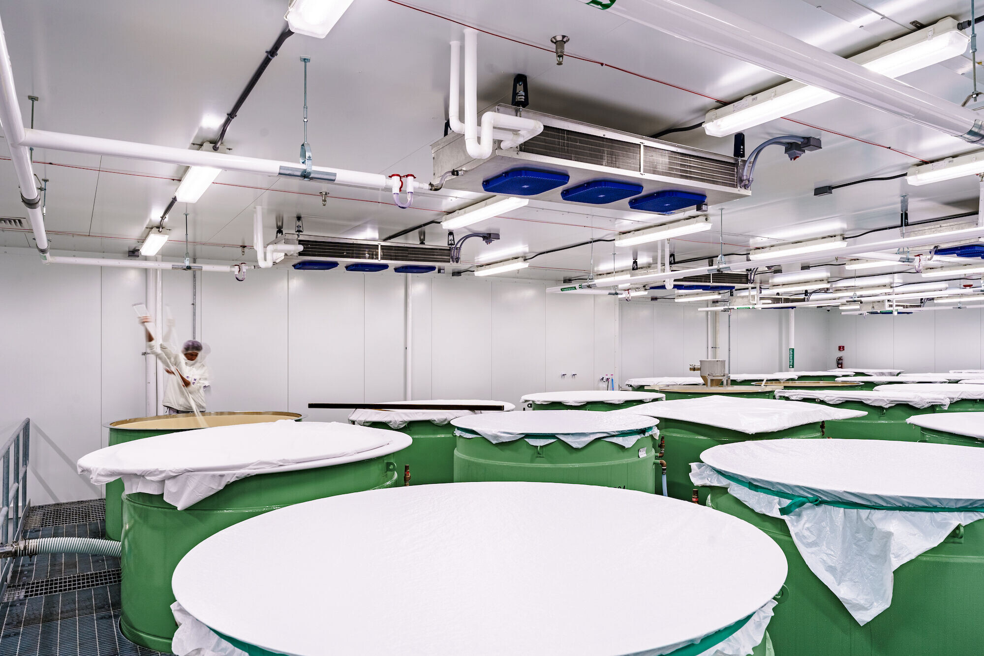 https://archello.com/story/139685/attachments/photos-videos/6 photo_credit Courtesy Of Pelli Clarke & Partners, Jun Mitsui & Associates