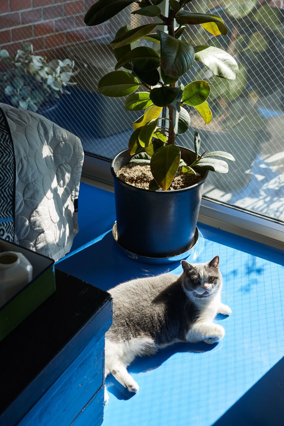 https://archello.com/story/139838/attachments/photos-videos/8 photo_credit Akira Nakamura