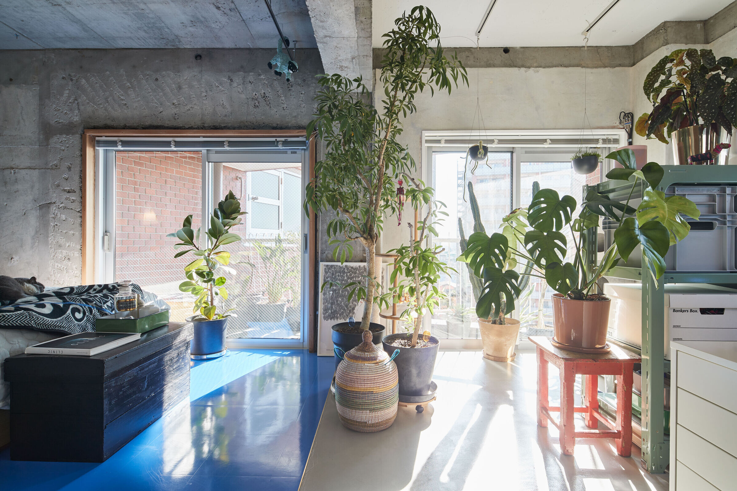https://archello.com/story/139838/attachments/photos-videos/14 photo_credit Akira Nakamura