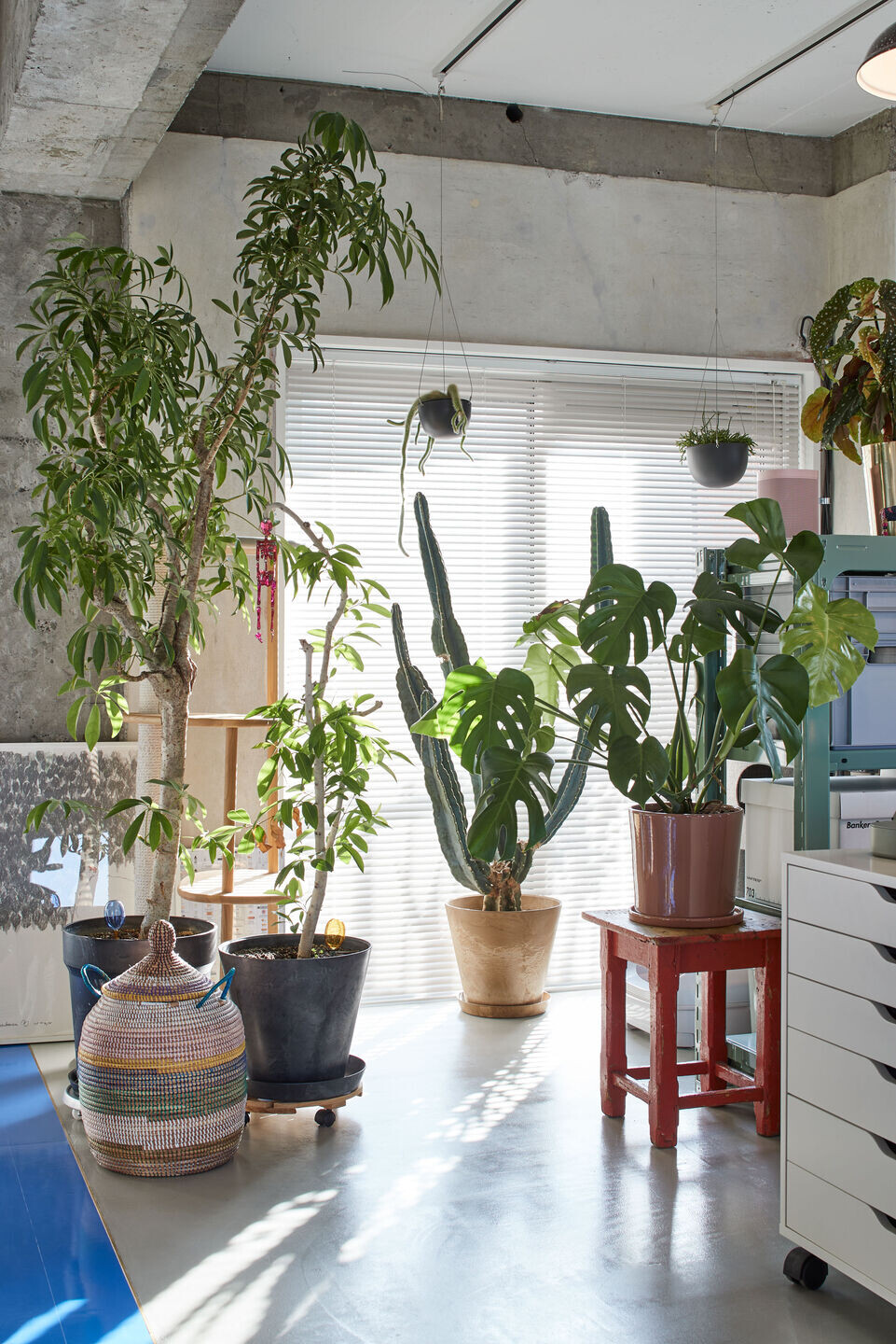 https://archello.com/story/139838/attachments/photos-videos/31 photo_credit Akira Nakamura