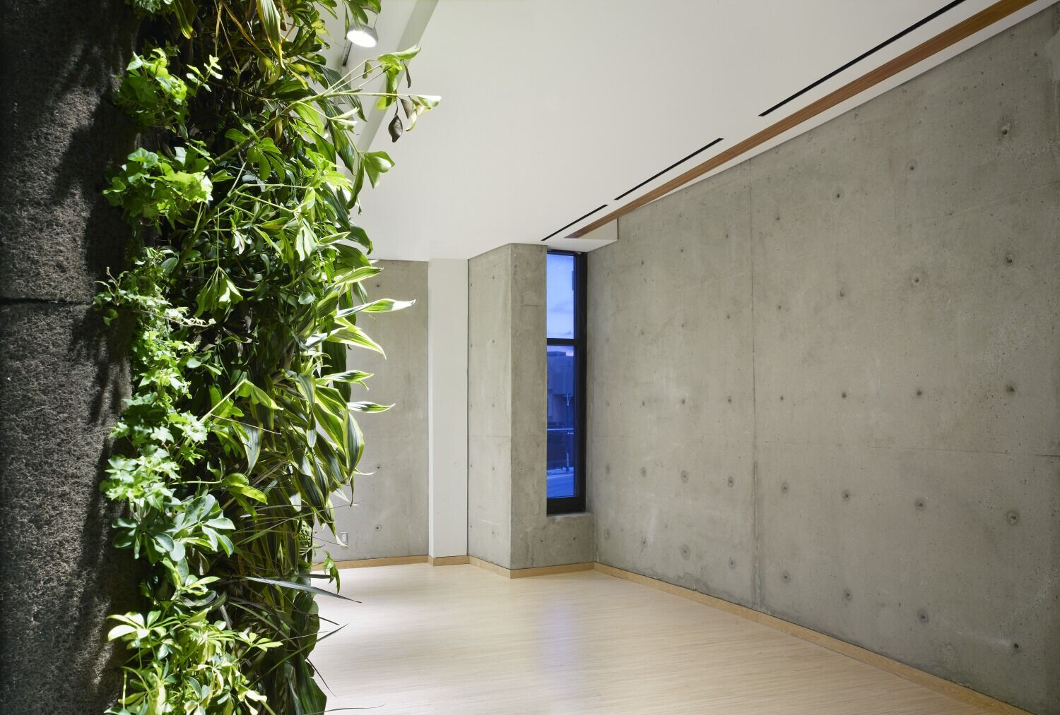 https://archello.com/story/139993/attachments/photos-videos/5 photo_credit Tom Arban