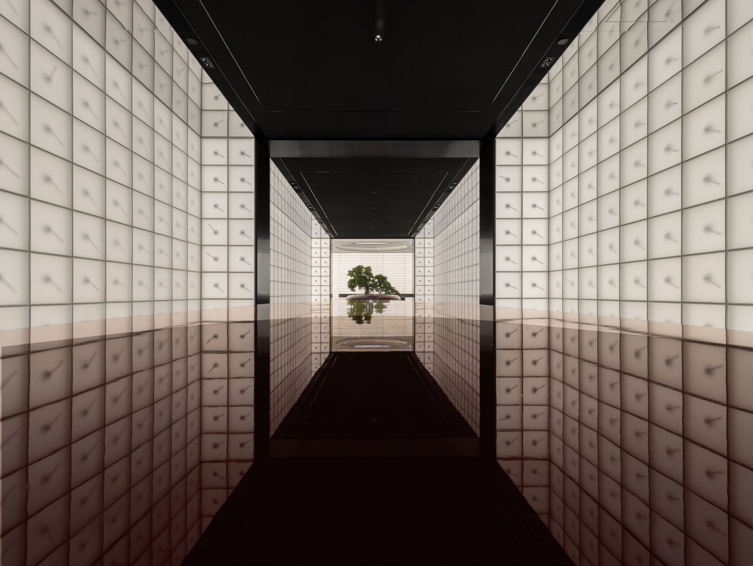 https://archello.com/story/140278/attachments/photos-videos/2 photo_credit SFAP