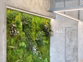 25 best interior living wall manufacturers
