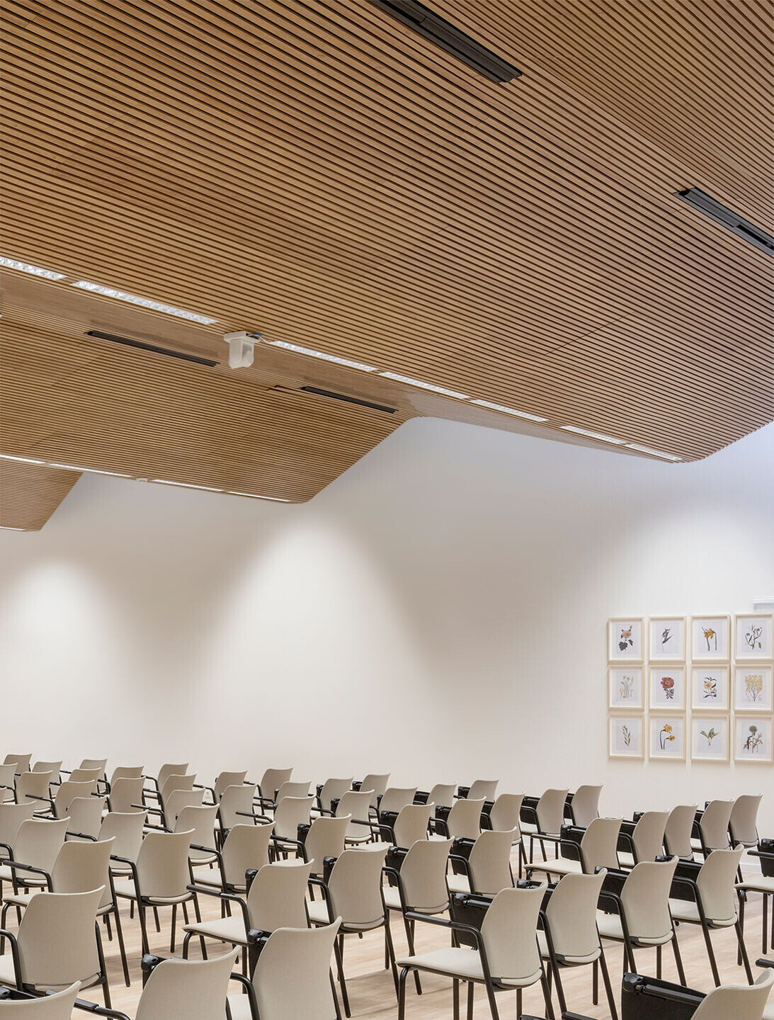 https://archello.com/story/140652/attachments/photos-videos/6 photo_credit Juan Baraja