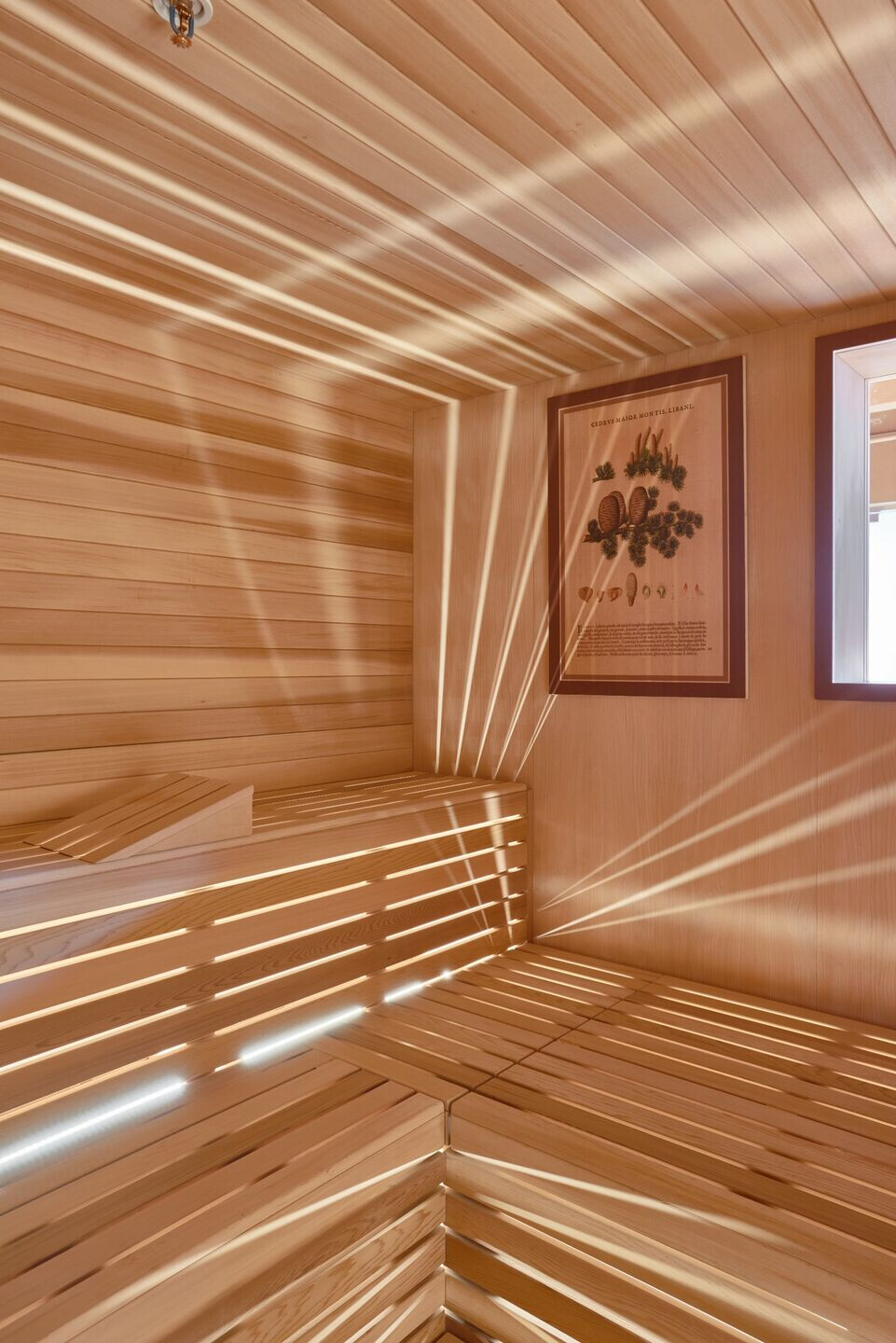 https://archello.com/story/140919/attachments/photos-videos/3 photo_credit Stefano Pasqualetti