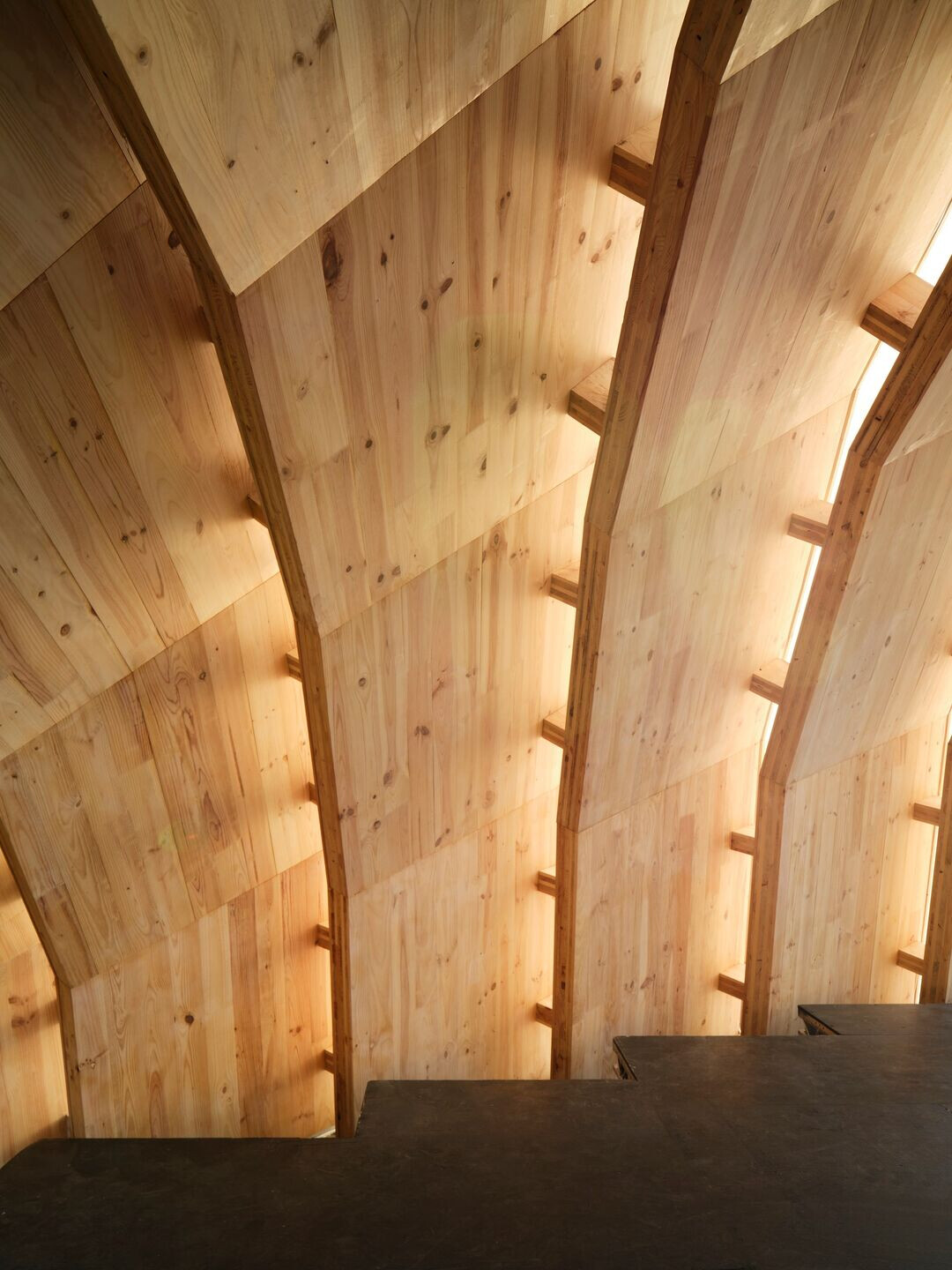 https://archello.com/story/141194/attachments/photos-videos/5 photo_credit Henry Woide