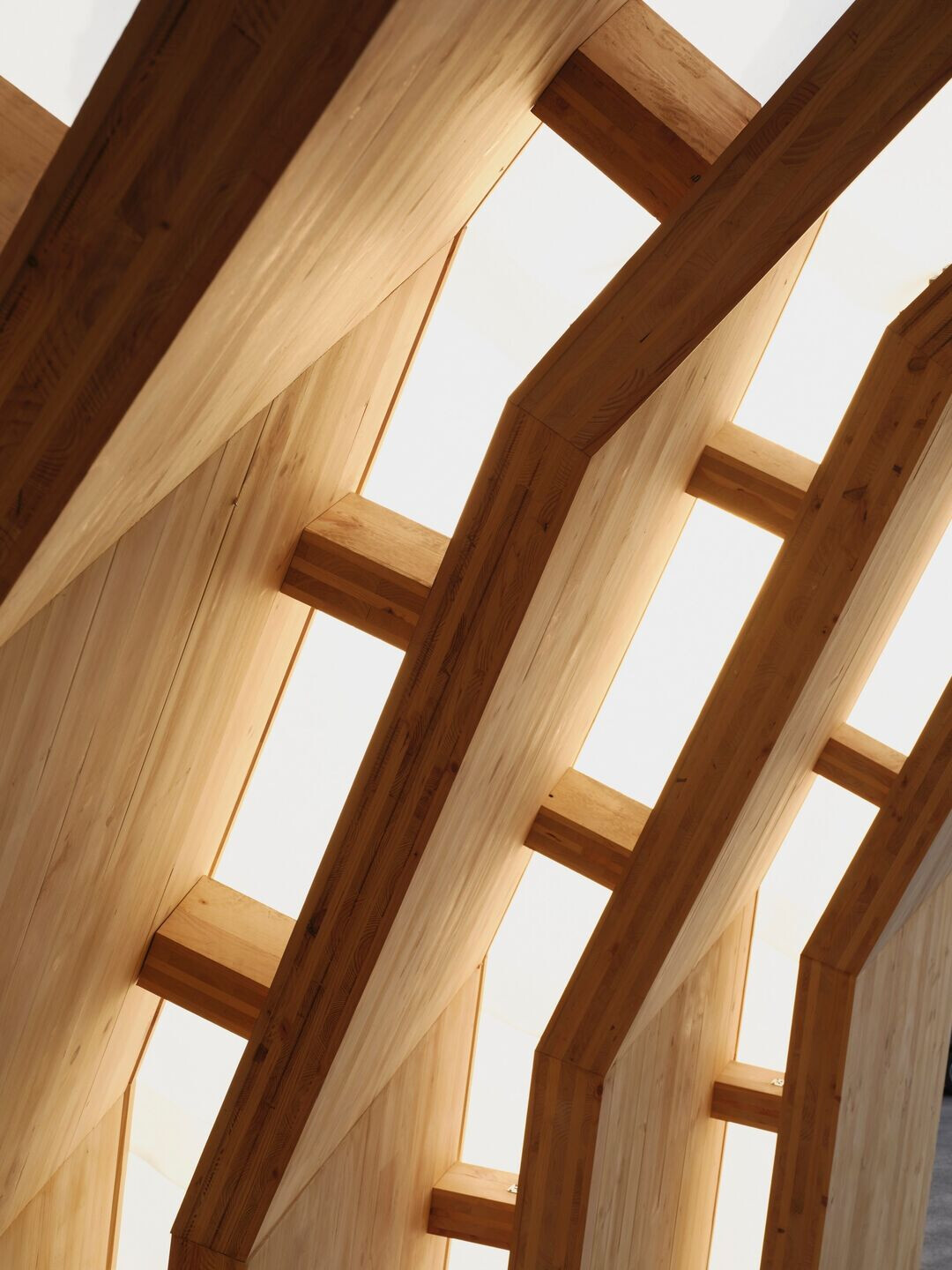 https://archello.com/story/141194/attachments/photos-videos/6 photo_credit Henry Woide