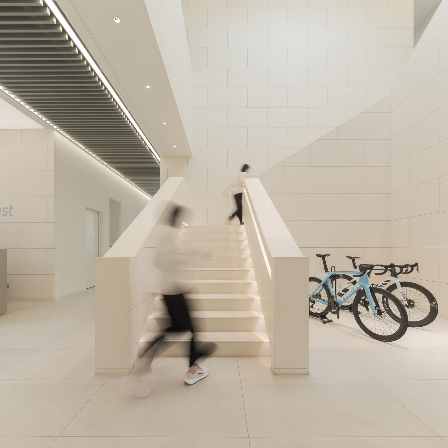 https://archello.com/story/141313/attachments/photos-videos/12 photo_credit Fernando Guerra