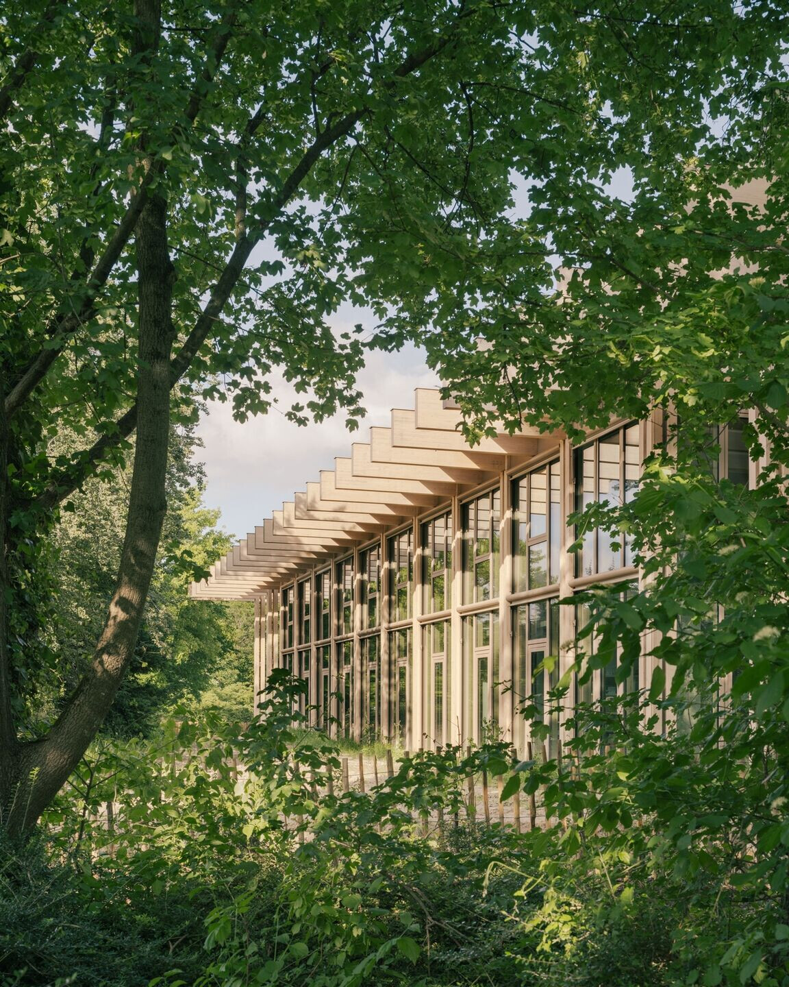 https://archello.com/story/141376/attachments/photos-videos/3 photo_credit Charly Broyez