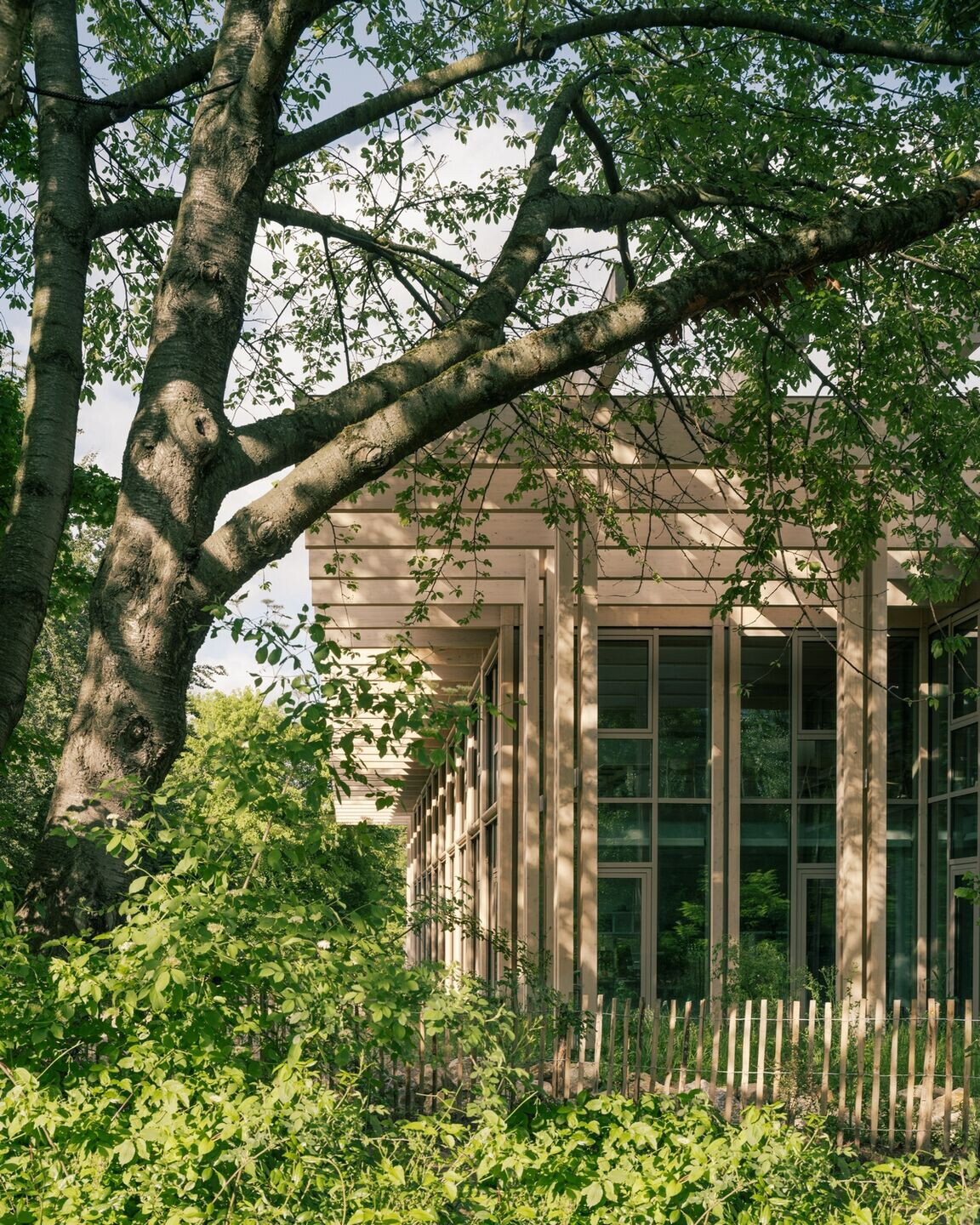 https://archello.com/story/141376/attachments/photos-videos/12 photo_credit Charly Broyez