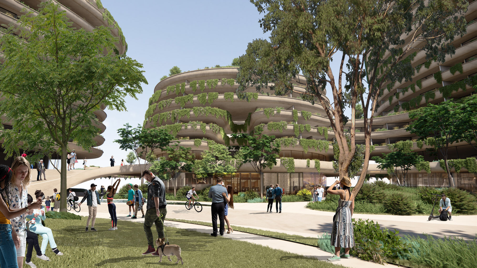 photo_credit © Contreras Earl Architecture