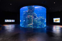 _DSC2650-HDR.jpg