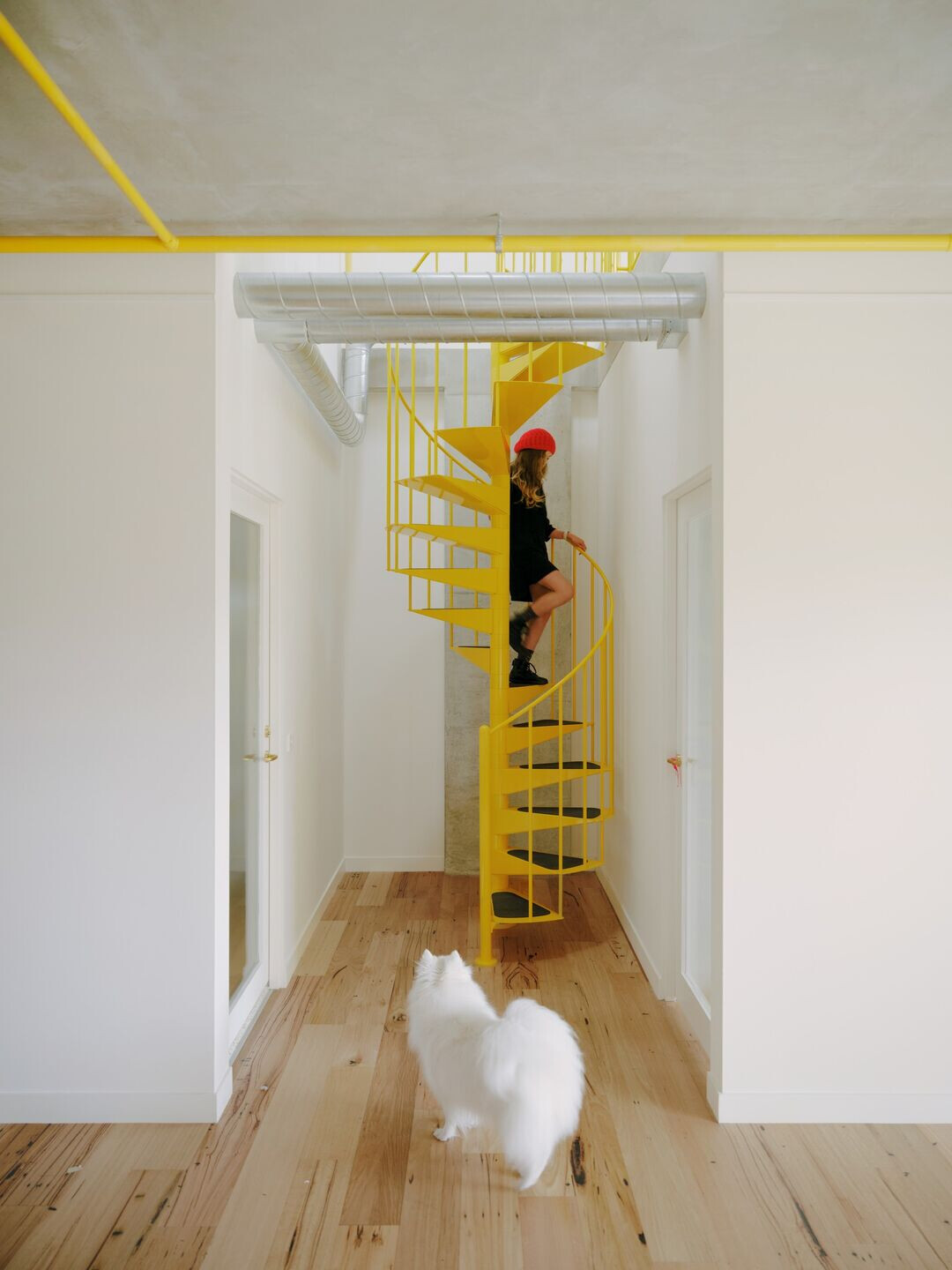 https://archello.com/story/141925/attachments/photos-videos/24 photo_credit Tom Ross