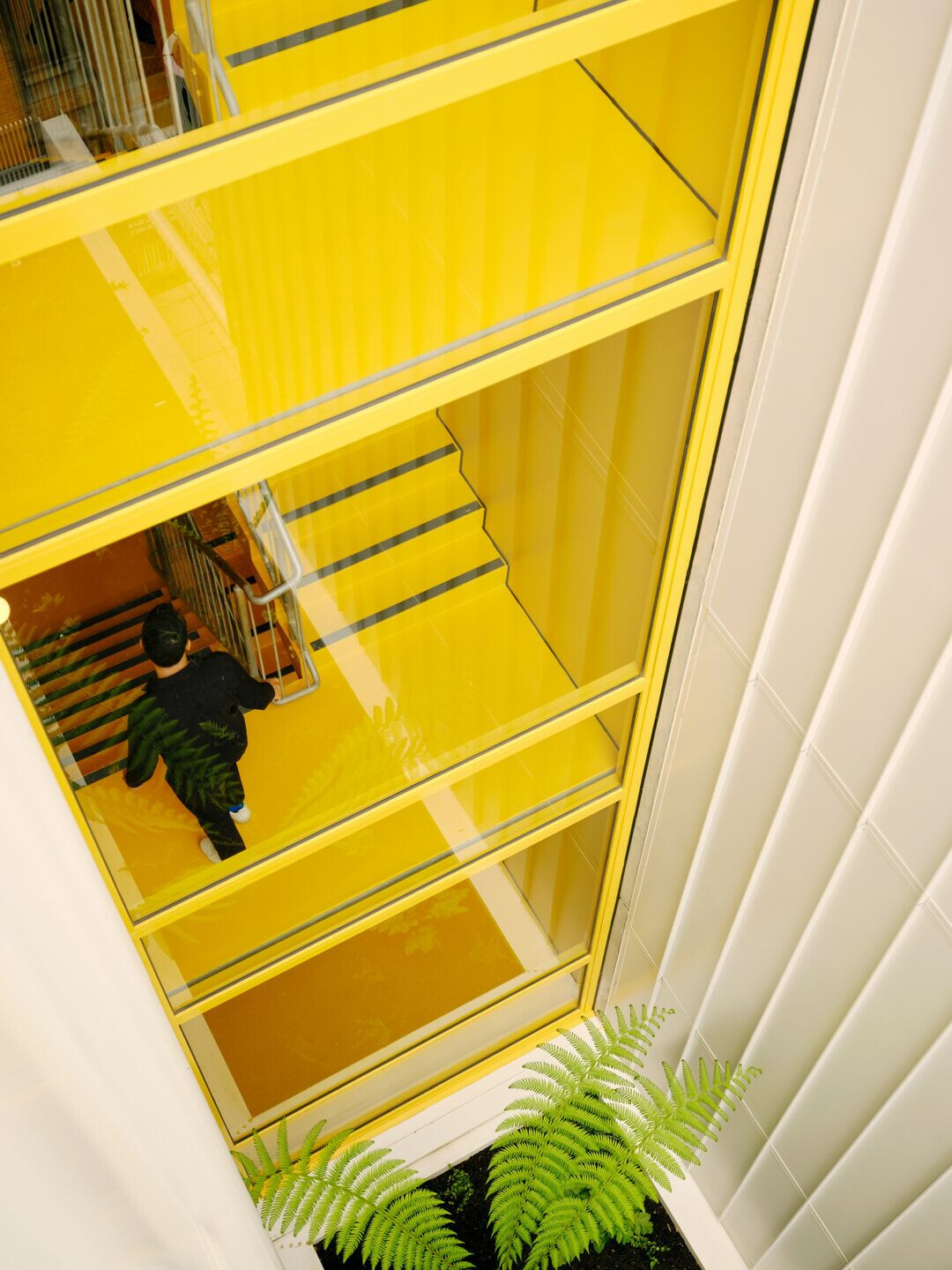 https://archello.com/story/141925/attachments/photos-videos/25 photo_credit Tom Ross
