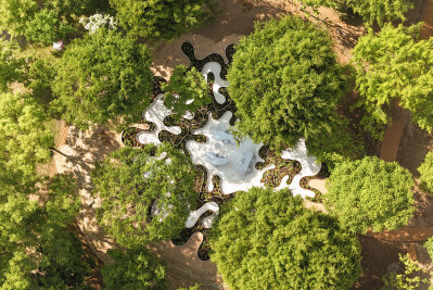Immersive Resilience