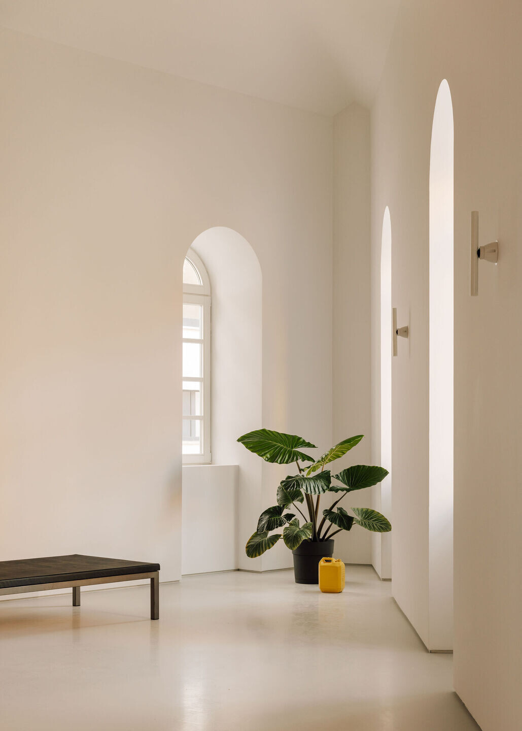 https://archello.com/story/142210/attachments/photos-videos/13 photo_credit Francisco Nogueira