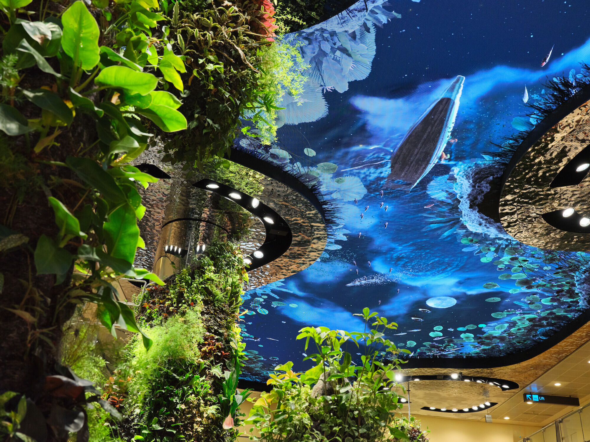https://archello.com/story/142342/attachments/photos-videos/56 photo_credit Changi Airport Group - Fabian Ong