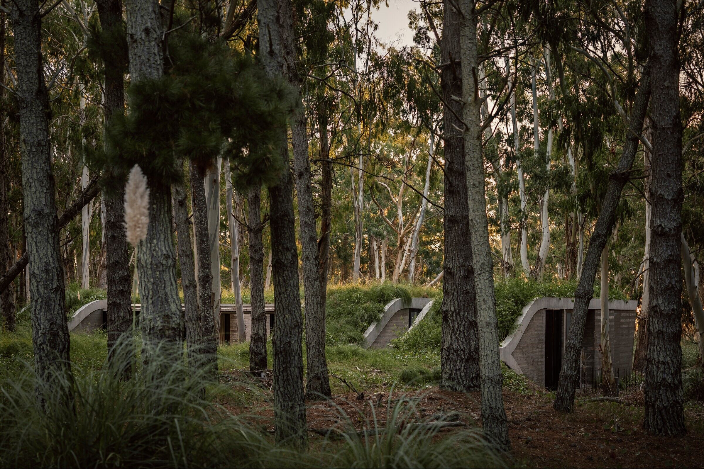 https://archello.com/story/142432/attachments/photos-videos/6 photo_credit César Béjar