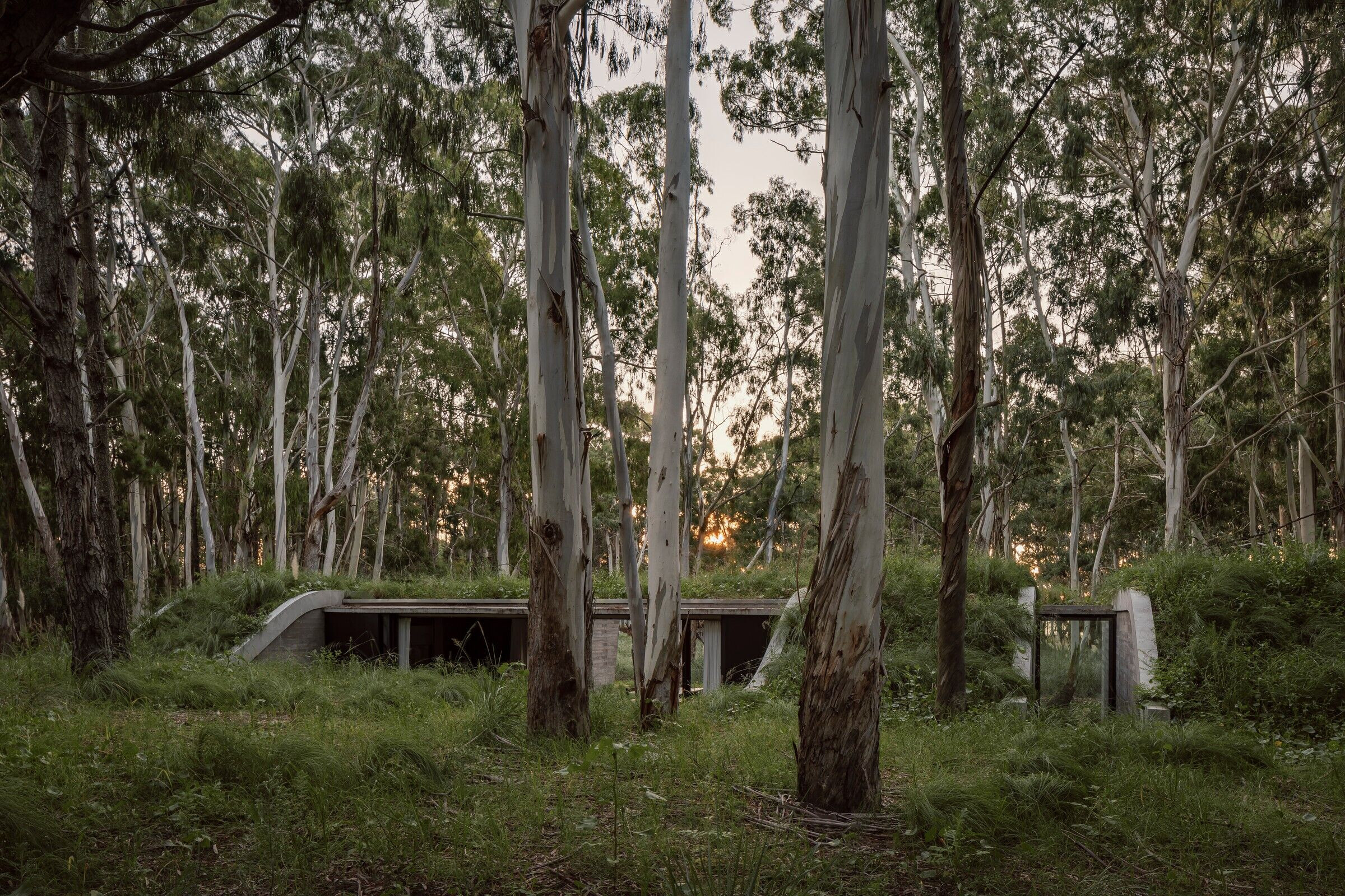 https://archello.com/story/142432/attachments/photos-videos/7 photo_credit César Béjar