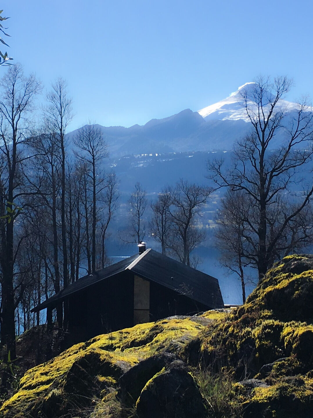 https://archello.com/story/142721/attachments/photos-videos/7 photo_credit FRANCISCO BOETSCH