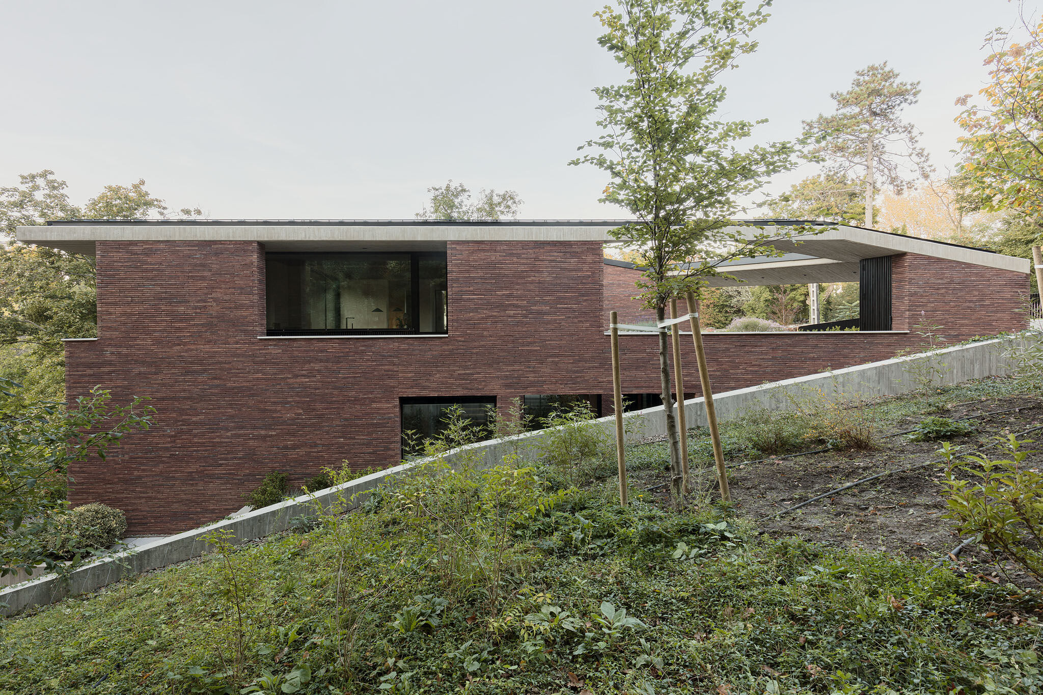 https://archello.com/story/143048/attachments/photos-videos/9 photo_credit Balázs Danyi