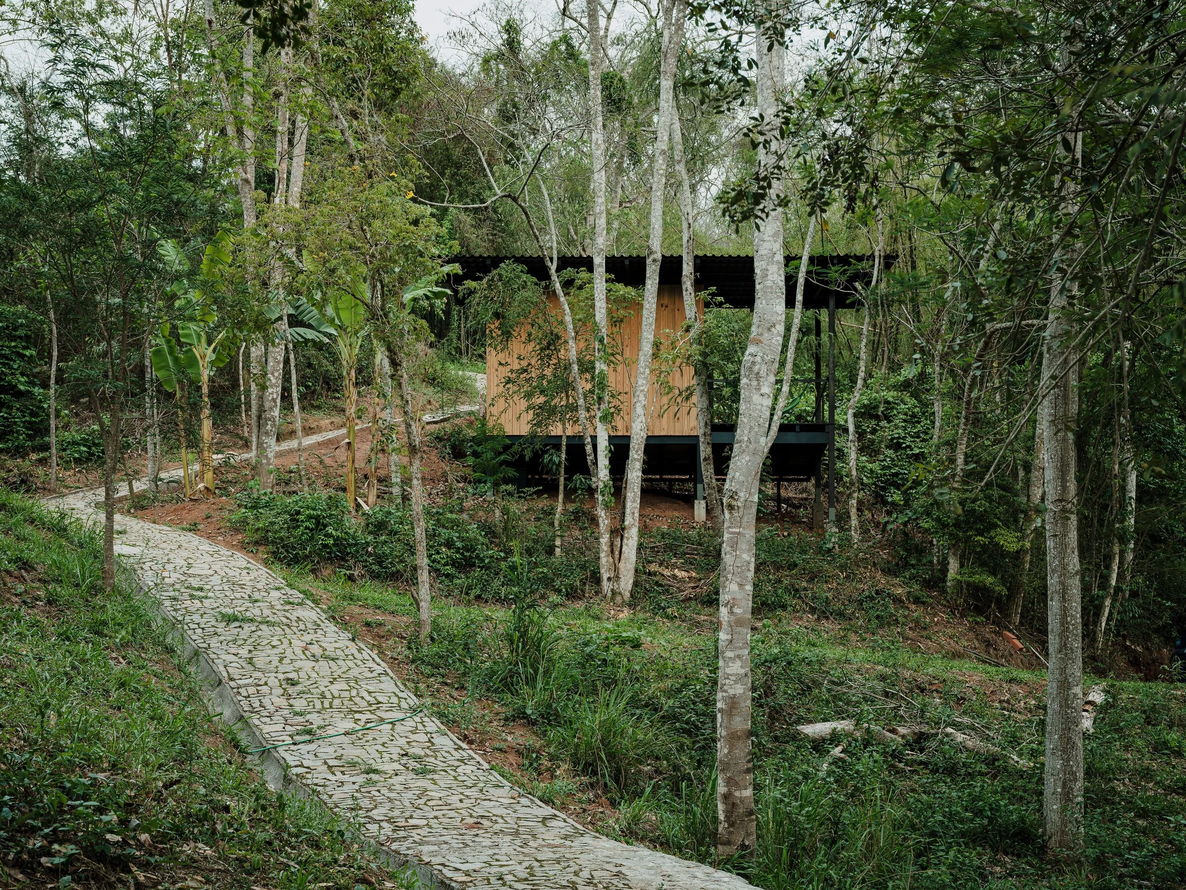 https://archello.com/story/143338/attachments/photos-videos/1 photo_credit Pedro Kok
