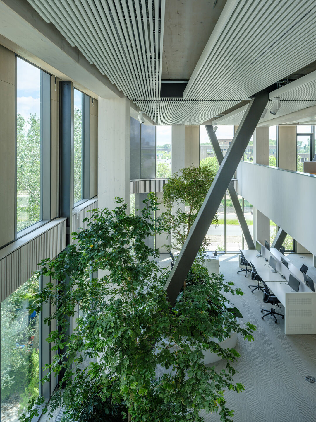 https://archello.com/story/143578/attachments/photos-videos/15 photo_credit Ossip van Duivenbode