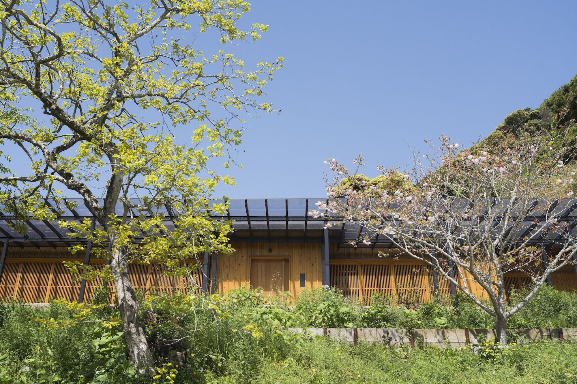https://archello.com/story/143693/attachments/photos-videos/8 photo_credit Tetsuya Ito