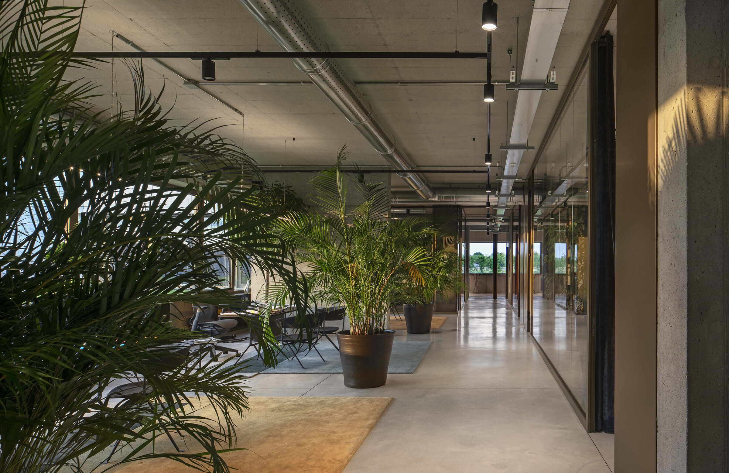 https://archello.com/story/143874/attachments/photos-videos/14 photo_credit Alessandra Chemollo