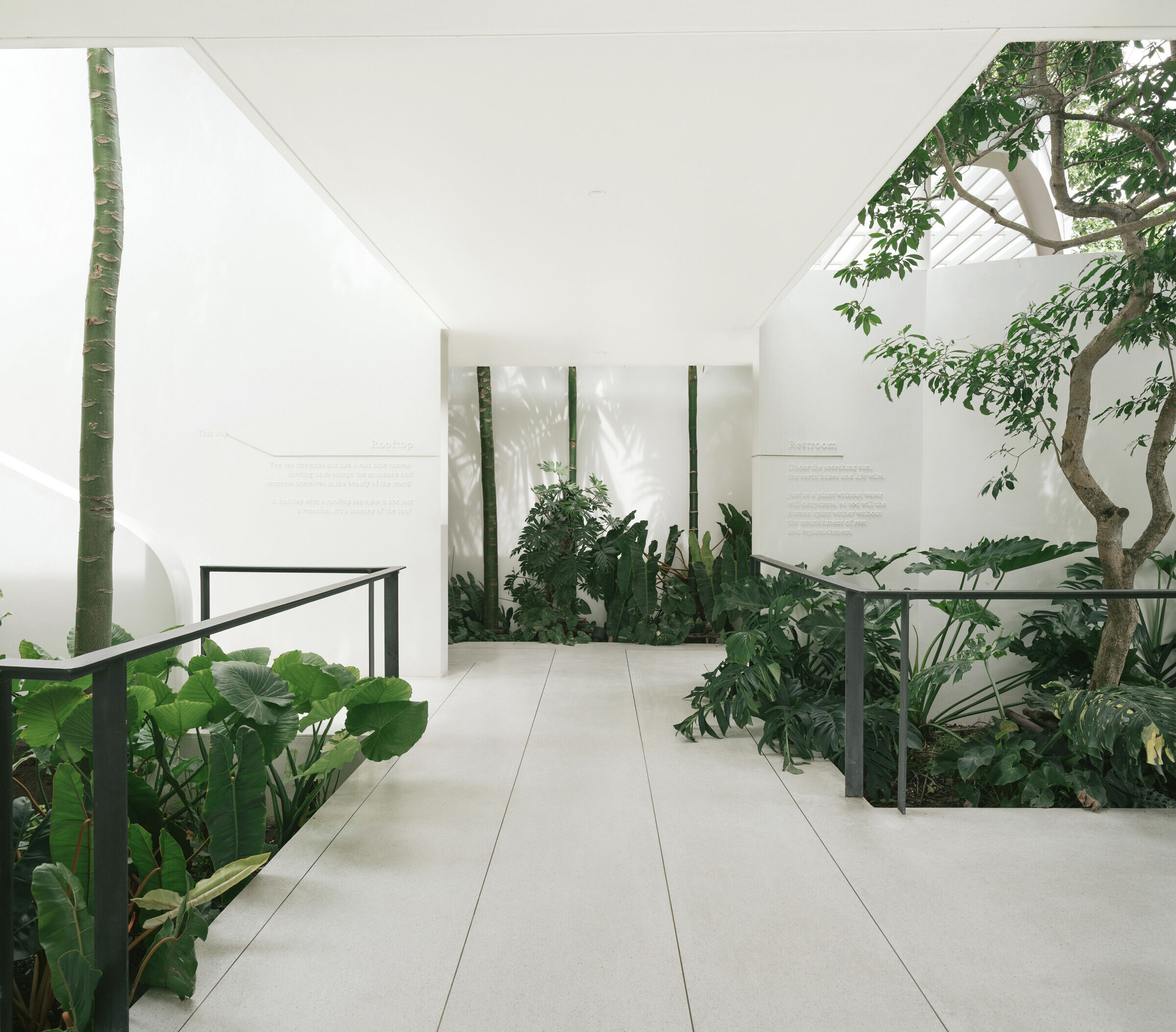 https://archello.com/story/144161/attachments/photos-videos/15 photo_credit Peerapat Wimolrungkarat