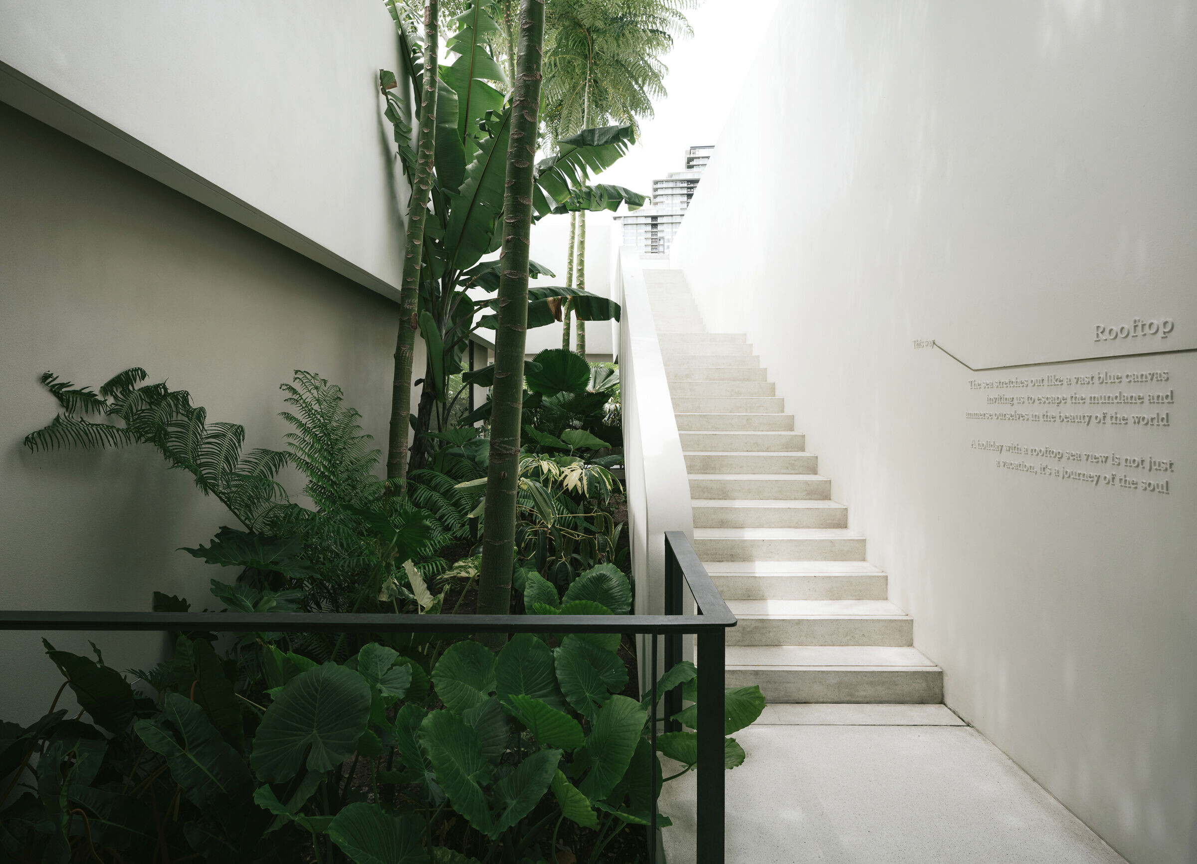https://archello.com/story/144161/attachments/photos-videos/17 photo_credit Peerapat Wimolrungkarat