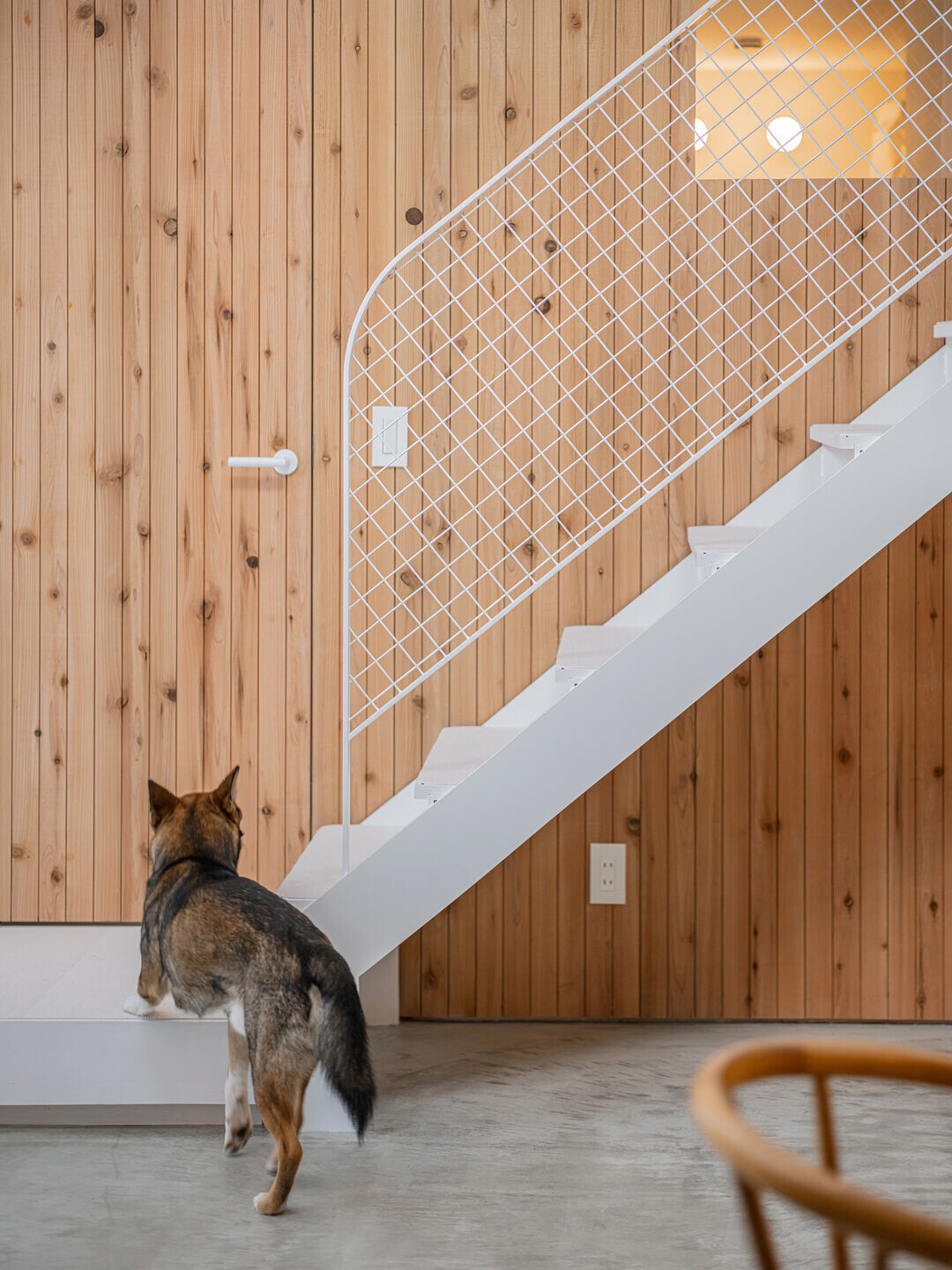 https://archello.com/story/144492/attachments/photos-videos/15 photo_credit ©Ikuya Sasaki