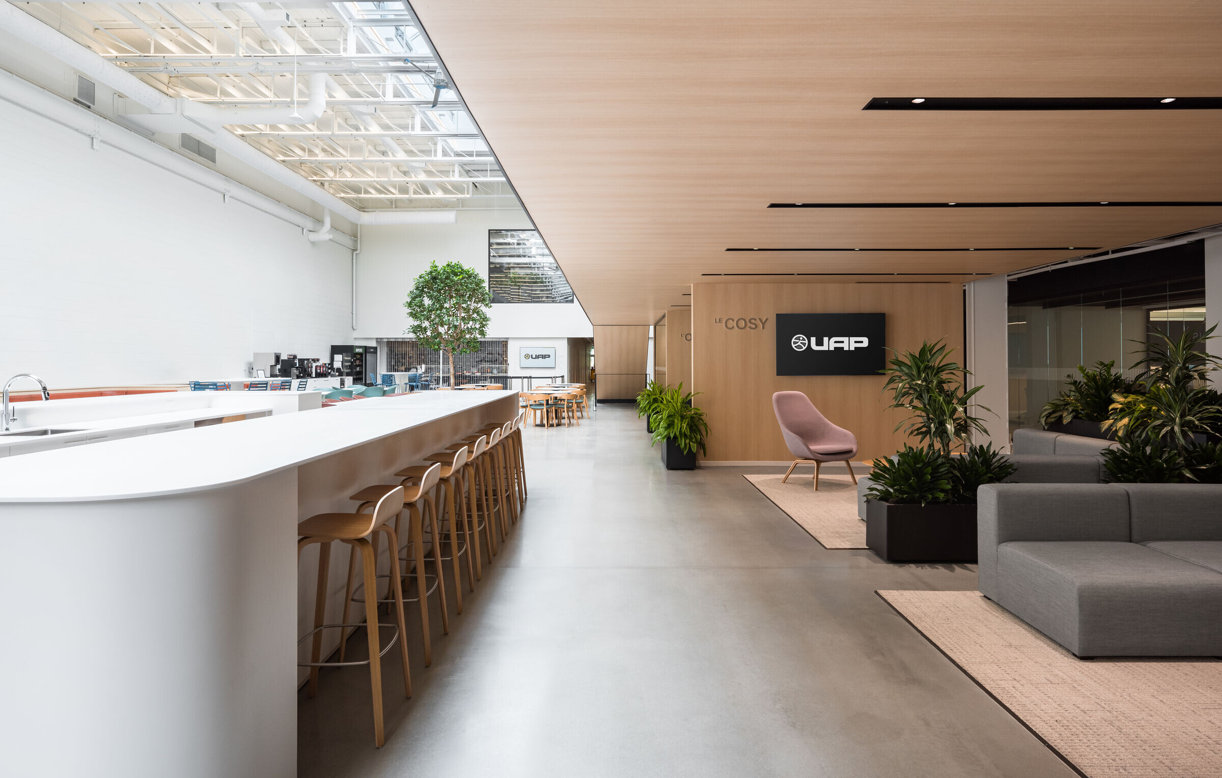 https://archello.com/story/144968/attachments/photos-videos/1 photo_credit Vincent Brillant