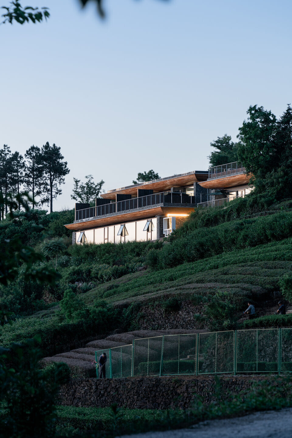 https://archello.com/story/145388/attachments/photos-videos/33 photo_credit line+