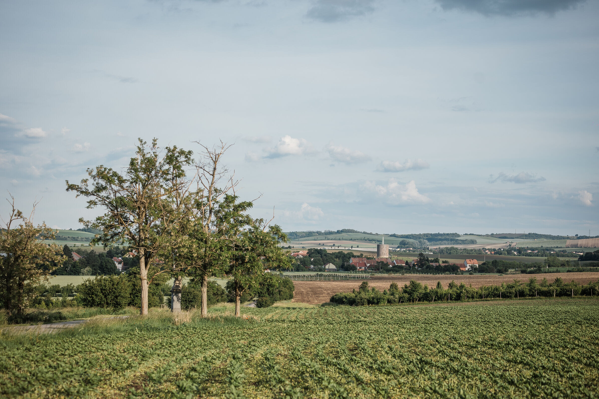 https://archello.com/story/145515/attachments/photos-videos/2 photo_credit Ondřej Bouška