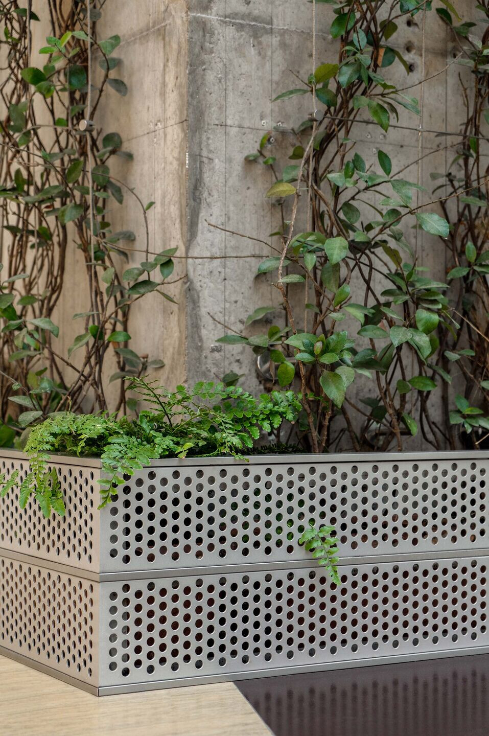 https://archello.com/story/146024/attachments/photos-videos/9 photo_credit Wang Minjie