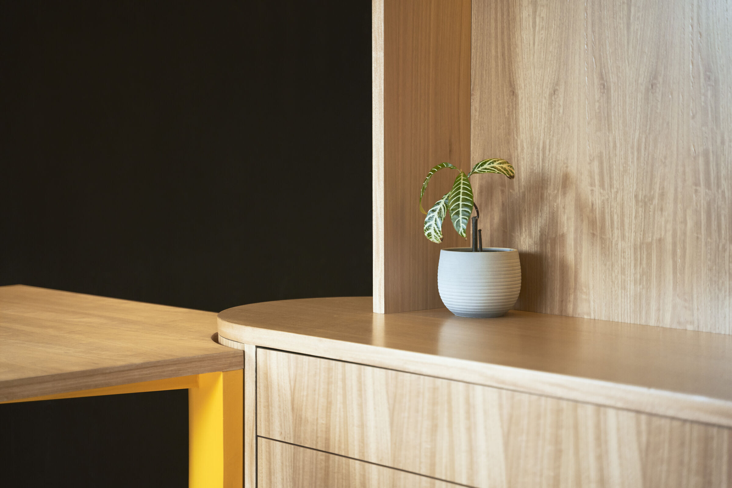 https://archello.com/story/146021/attachments/photos-videos/11 photo_credit Paolo Caicedo