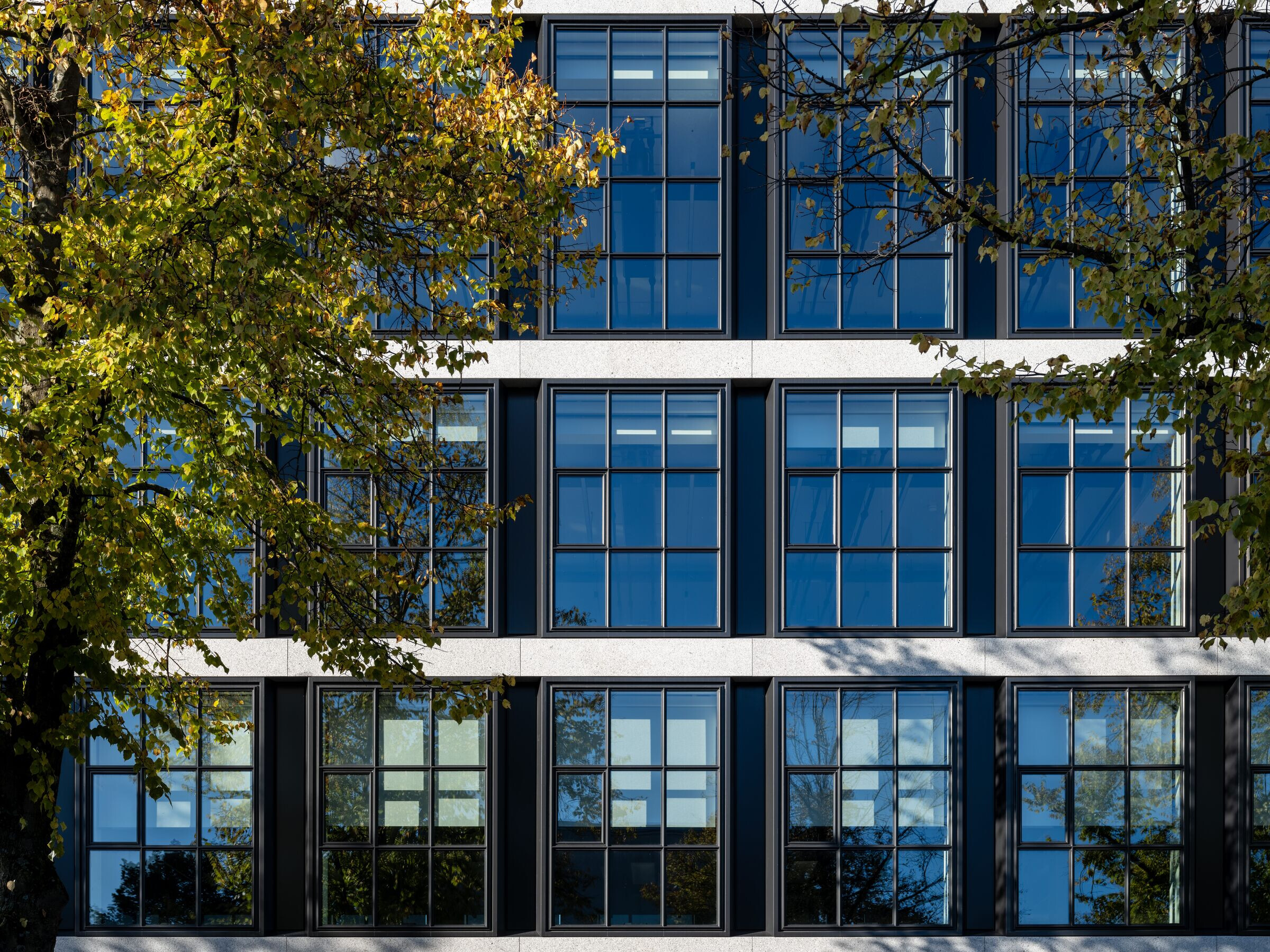 https://archello.com/story/146228/attachments/photos-videos/2 photo_credit Dam & Partners Architecten