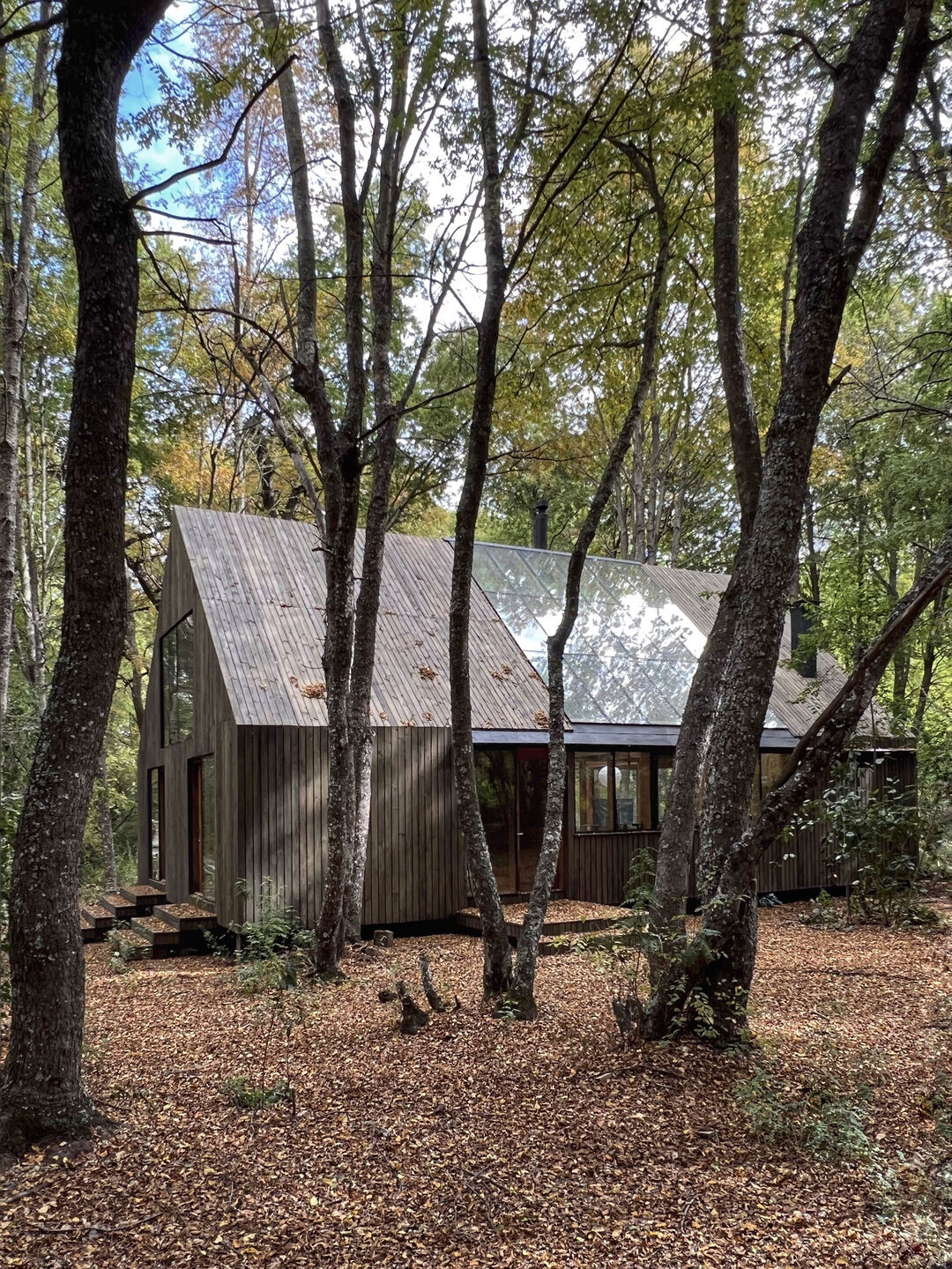 https://archello.com/es/story/146235/attachments/photos-videos/4 photo_credit Matias del Campo
