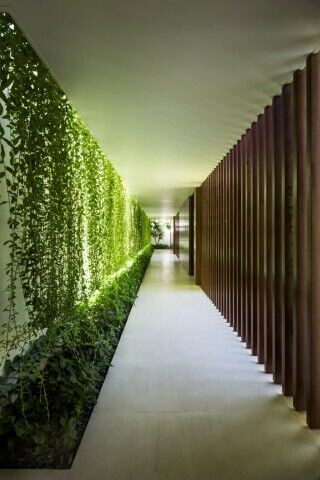 https://archello.com/story/146454/attachments/photos-videos/4 photo_credit Oki Hiroyuki